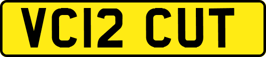 VC12CUT