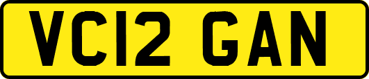 VC12GAN