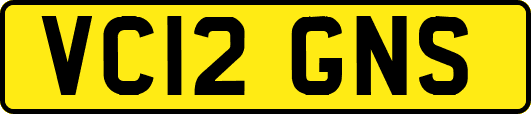 VC12GNS