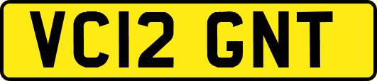 VC12GNT