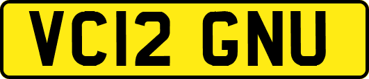 VC12GNU