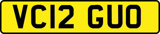 VC12GUO