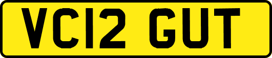 VC12GUT