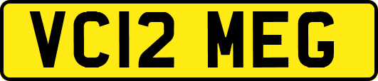VC12MEG