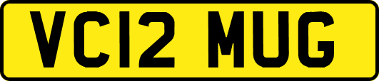 VC12MUG