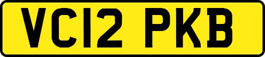 VC12PKB
