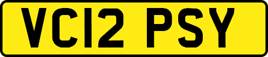 VC12PSY