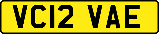 VC12VAE
