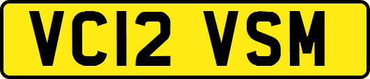 VC12VSM
