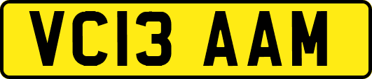 VC13AAM