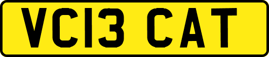 VC13CAT
