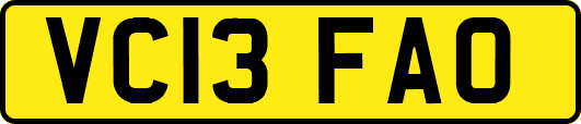 VC13FAO