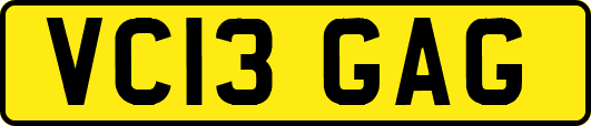 VC13GAG