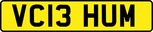 VC13HUM