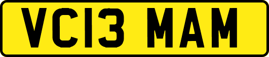 VC13MAM
