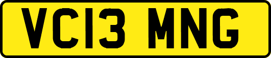 VC13MNG