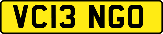 VC13NGO