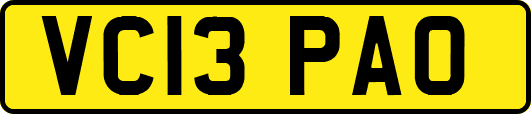VC13PAO