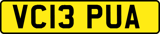 VC13PUA