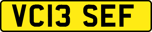 VC13SEF
