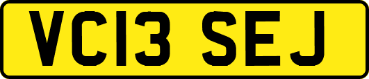 VC13SEJ
