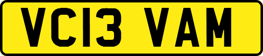 VC13VAM