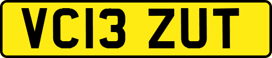 VC13ZUT