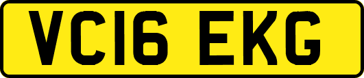 VC16EKG