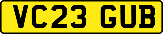 VC23GUB