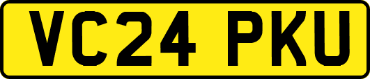 VC24PKU