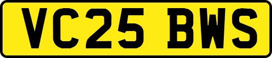 VC25BWS