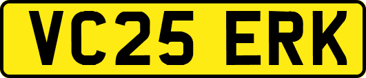 VC25ERK