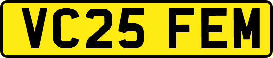 VC25FEM