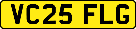 VC25FLG
