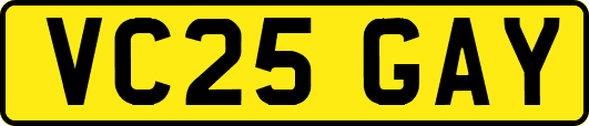 VC25GAY