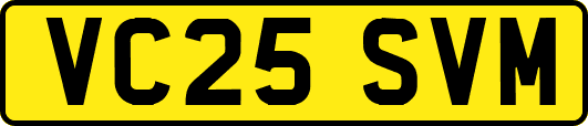 VC25SVM