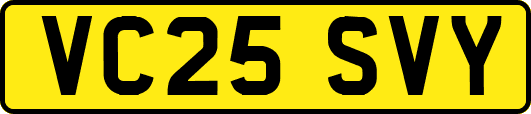 VC25SVY