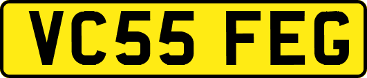 VC55FEG