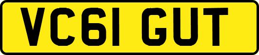 VC61GUT