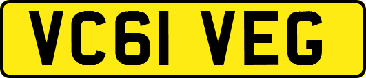 VC61VEG