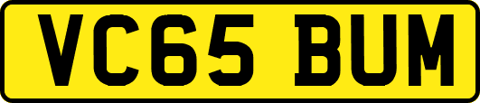 VC65BUM