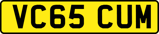 VC65CUM