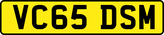 VC65DSM