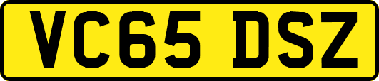 VC65DSZ