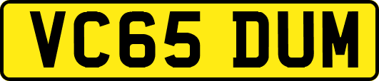 VC65DUM