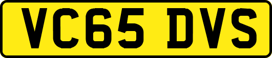 VC65DVS