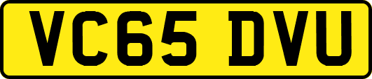 VC65DVU