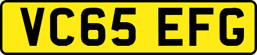 VC65EFG