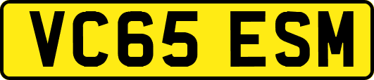 VC65ESM