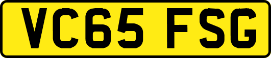 VC65FSG